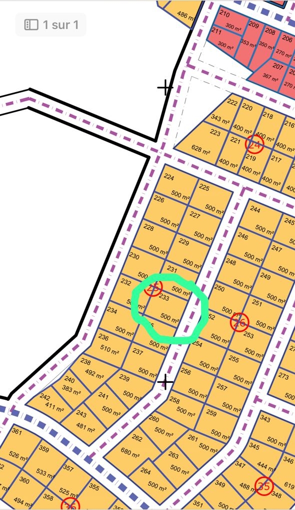 WhatsApp Image 2025-12-27 at 22.57